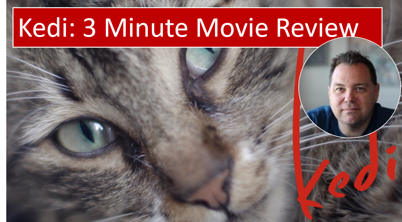 Kedi (2017) – 3 Minute Movie Review